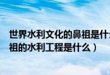 世界水利文化的鼻祖是什么工程（被譽為世界水利文化的鼻祖的水利工程是什么）