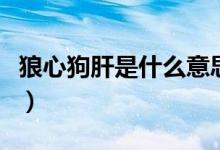 狼心狗肝是什么意思?。ɡ切墓犯问鞘裁匆馑迹?class=