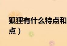 狐貍有什么特點(diǎn)和本領(lǐng)30字（狐貍有什么特點(diǎn)）