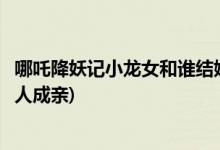 哪吒降妖記小龍女和誰結(jié)婚了(哪吒降妖記小龍女最后和什么人成親)