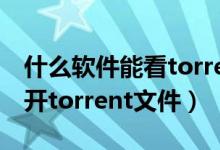 什么軟件能看torrent格式（手機(jī)迅雷怎么打開torrent文件）