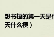 想書桓的第一天是什么梗圖片（書桓走的第一天什么梗）