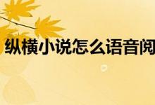 縱橫小說怎么語(yǔ)音閱讀（縱橫小說怎么聽書）