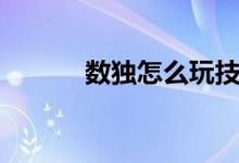 數(shù)獨怎么玩技巧（數(shù)獨怎么玩）