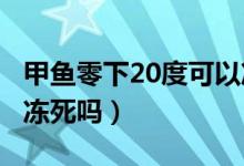 甲魚零下20度可以凍死嗎（甲魚在零下5度會凍死嗎）
