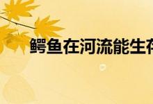 鱷魚在河流能生存嗎（鱷魚會冬眠嗎）