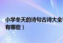 小學(xué)冬天的詩(shī)句古詩(shī)大全有哪些(小學(xué)描寫冬天的詩(shī)句古詩(shī)有哪些)