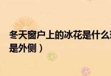 冬天窗戶上的冰花是什么現(xiàn)象（冬天窗戶上的冰花在內側還是外側）