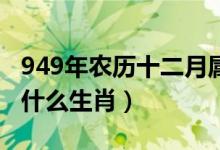 949年農歷十二月屬什么生肖（農歷十二月是什么生肖）