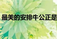 最美的安排牛公正是誰(shuí)演的(牛公正是誰(shuí)演的)