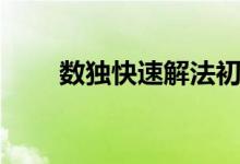 數(shù)獨(dú)快速解法初級(jí)(數(shù)獨(dú)快速解法)