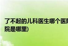 了不起的兒科醫(yī)生哪個醫(yī)院拍的(了不起的兒科醫(yī)生拍攝的醫(yī)院是哪里)