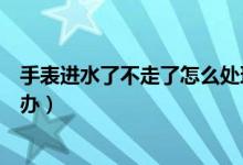 手表進(jìn)水了不走了怎么處理比較好(手表進(jìn)水了不走了怎么辦)