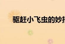 驅趕小飛蟲的妙招（怎么驅趕小飛蟲）