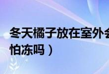 冬天橘子放在室外會壞嗎（橘子冬天放在室外怕凍嗎）