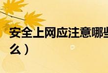 安全上網(wǎng)應(yīng)注意哪些內(nèi)容(安全上網(wǎng)要注意什么)