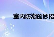 室內(nèi)防潮的妙招（室內(nèi)防潮的妙招）