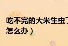 吃不完的大米生蟲了怎么辦（吃的大米長蟲了怎么辦）