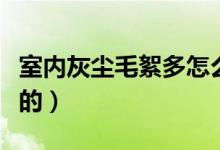 室內(nèi)灰塵毛絮多怎么辦（室內(nèi)灰塵是怎么產(chǎn)生的）