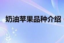 奶油蘋(píng)果品種介紹（奶油蘋(píng)果是什么品種）
