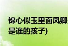 錦心似玉里面鳳卿是誰的孩子(錦心似玉鳳卿是誰的孩子)