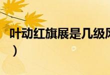 葉動紅旗展是幾級風(fēng)（葉動紅旗展屬于幾級風(fēng)）
