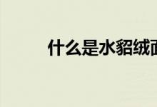 什么是水貂絨面料（什么是水貂）