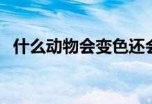 什么動(dòng)物會(huì)變色還會(huì)飛（什么動(dòng)物會(huì)變色）