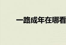 一路成年在哪看(一路成年播出時(shí)間)