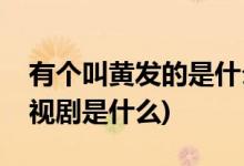 有個叫黃發(fā)的是什么電視劇(有個叫黃發(fā)的電視劇是什么)