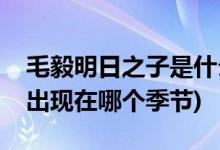 毛毅明日之子是什么季節(jié)(《明日之子》毛毅出現(xiàn)在哪個(gè)季節(jié))