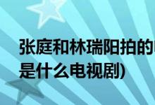 張庭和林瑞陽拍的電視劇(張庭和林瑞陽拍的是什么電視劇)