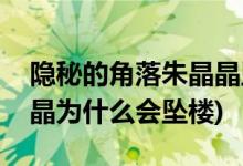 隱秘的角落朱晶晶墜樓真相(隱秘的角落朱晶晶為什么會墜樓)