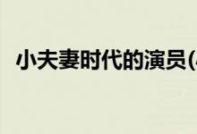 小夫妻時代的演員(小夫妻時代主演都有誰)