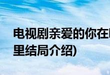 電視劇親愛的你在哪里大結(jié)局(親愛的你在哪里結(jié)局介紹)
