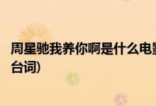 周星馳我養(yǎng)你啊是什么電影(周星馳的我養(yǎng)你啊是哪部電影的臺(tái)詞)