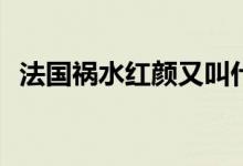 法國(guó)禍水紅顏又叫什么(紅顏禍水出自哪里)