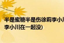 半是蜜糖半是傷徐莉李小川在一起了嗎(半是蜜糖半是傷徐莉李小川在一起沒(méi))