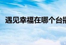 遇見(jiàn)幸福在哪個(gè)臺(tái)播出(遇見(jiàn)愛(ài)情哪個(gè)臺(tái)播)
