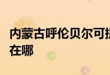 內(nèi)蒙古呼倫貝爾可提供三星手機維修服務(wù)地址在哪