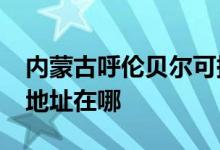 內(nèi)蒙古呼倫貝爾可提供realme手機維修服務(wù)地址在哪