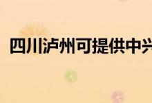 四川瀘州可提供中興手機維修服務地址在哪