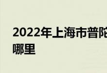 2022年上海市普陀區(qū)滿天星幼兒園的地址在哪里