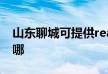 山東聊城可提供realme手機維修服務(wù)地址在哪