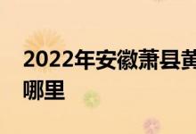 2022年安徽蕭縣黃口哆來咪貴族園的地址在哪里