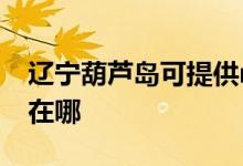 遼寧葫蘆島可提供realme手機維修服務(wù)地址在哪