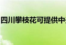四川攀枝花可提供中興手機維修服務地址在哪