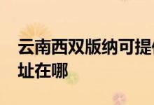 云南西雙版納可提供realme手機維修服務地址在哪