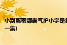小別離蒂娜霸氣護小宇是第幾集(小別離蒂娜霸氣護小宇是哪一集)