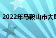 2022年馬鞍山市大風車幼兒園的地址在哪里